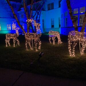 Share A Night Decorations