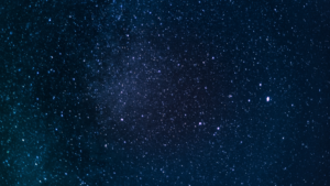 Mobile Website Header